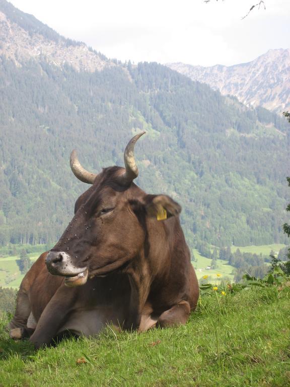 Ferienwohnungen Brunner Fischen im Allgaeu Екстериор снимка